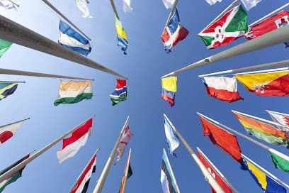 ALFA International — attorney in Chicago, IL