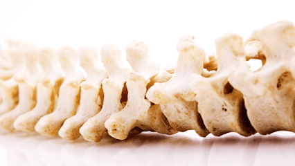 Align Chiropractic — attorney in Neenah, WI