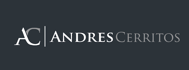 Andres Cerritos Law Offices, Ltd. — attorney in Waukegan, IL