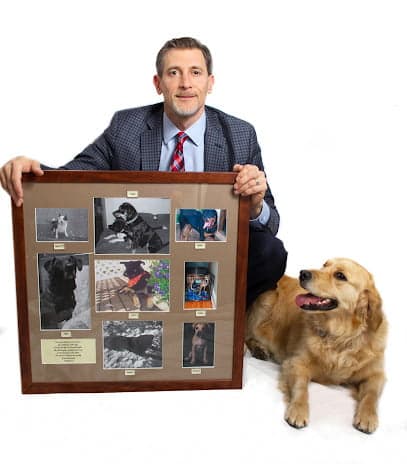 Boston Dog Lawyers — attorney in Beverly, MA