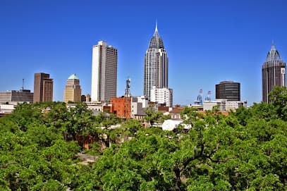 Braswell Murphy & Grubb — attorney in Mobile, AL