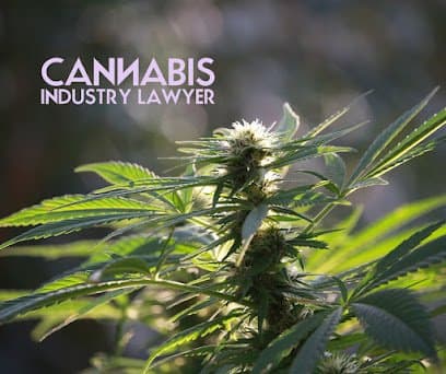 Cannabis Industry Lawyer — attorney in Peoria, IL