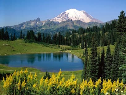 Cascade Bankruptcy — attorney in Albany, OR