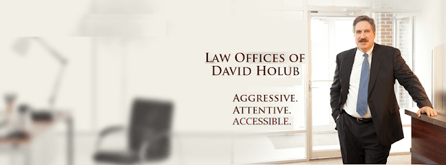 David W Holub Law Offices — attorney in Merrillville, IN