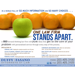 Duffy & Fasano Attorneys at Law