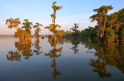 Eric S. Neumann, APLC — attorney in Lafayette, LA