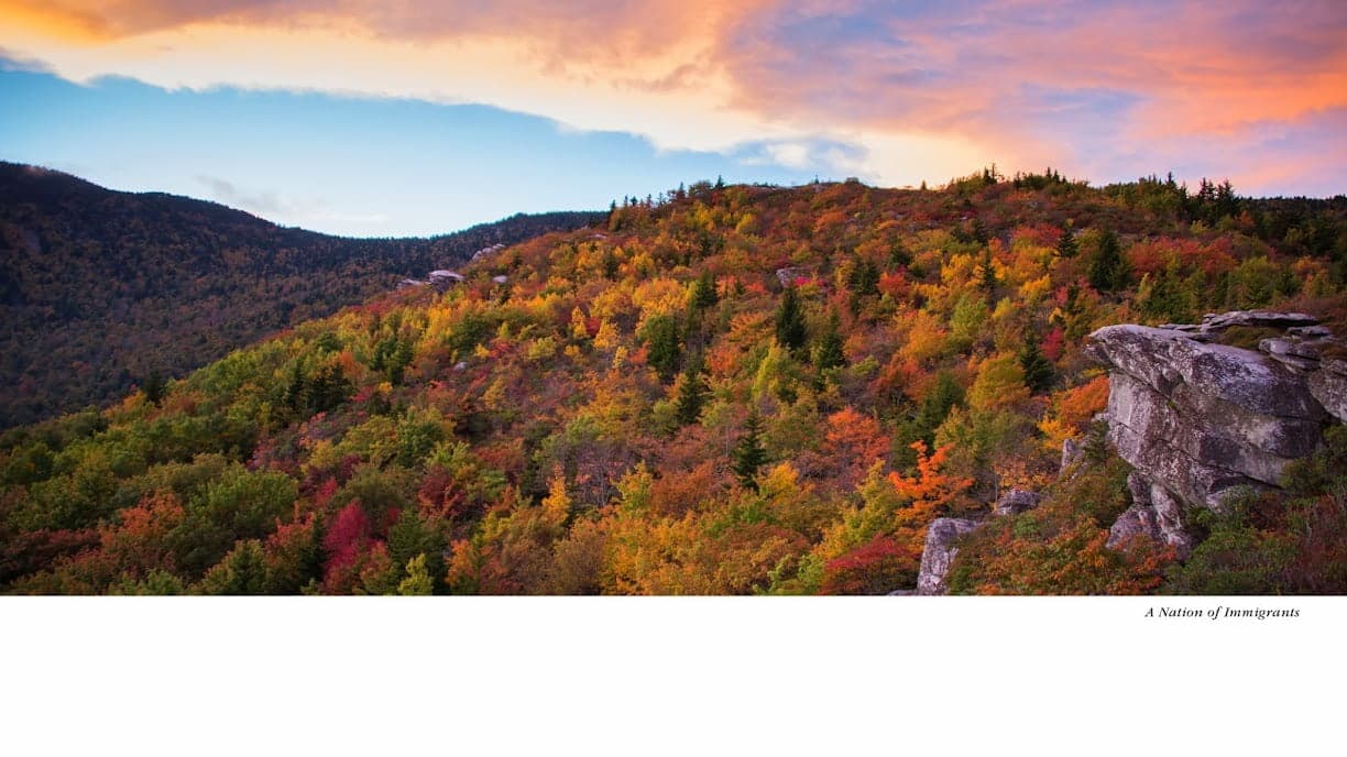 Fayad Law, P.C. — attorney in Fairfax, VA