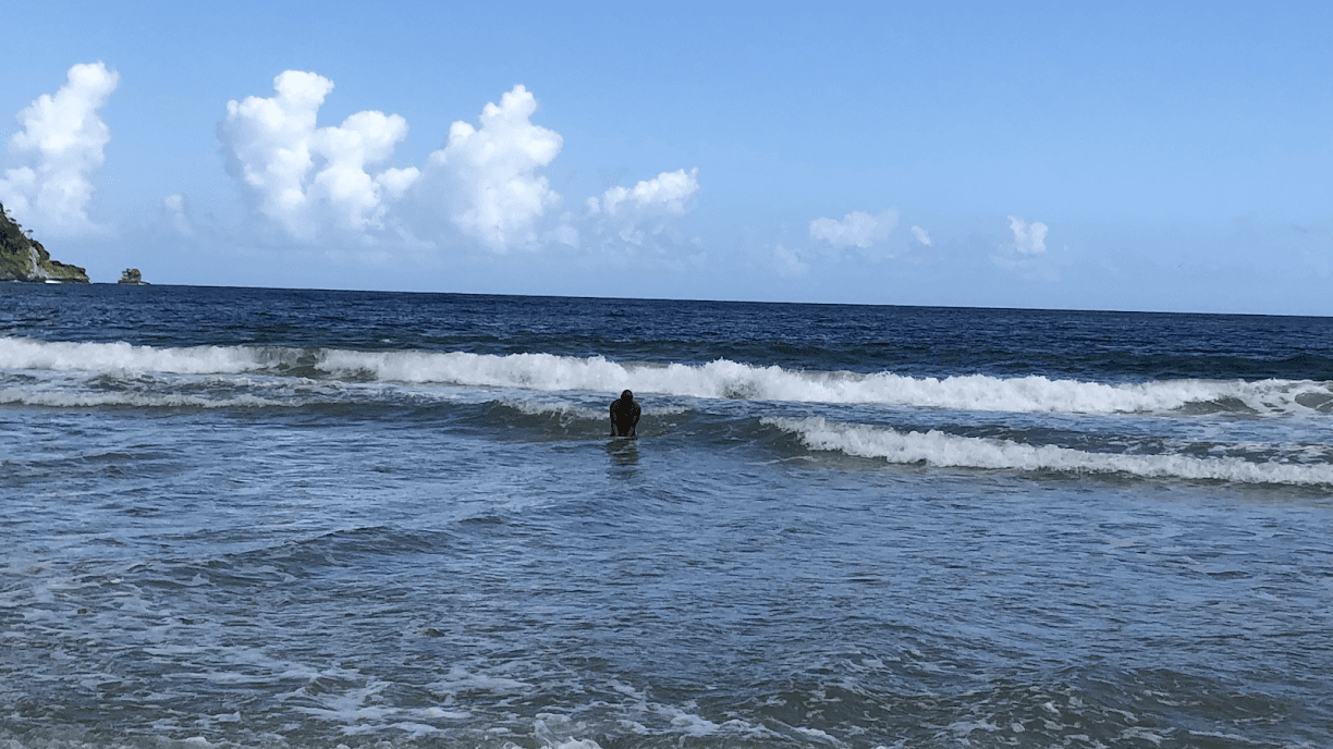 Gardiner Immigration PA — attorney in Plantation, FL