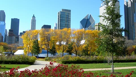 Greenberg Traurig, LLP — attorney in Chicago, IL
