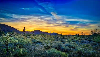 IBC Law — attorney in Phoenix, AZ