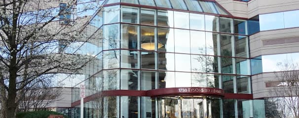 International Law Offices of Fallah, PLLC — attorney in McLean, VA