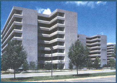 IvyLaw Law Office, LLC — attorney in Greenbelt, MD