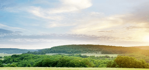 Jim A Lyon Law Firm — attorney in Oklahoma City, OK