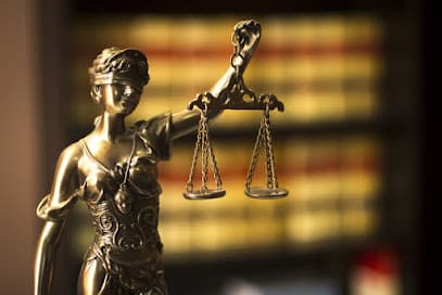 Johnson Law Group International, PLLC — attorney in Bristol, VT