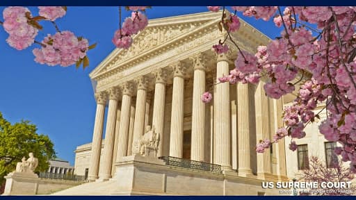 Law Office David M. Goldman PLLC — attorney in Jacksonville, FL