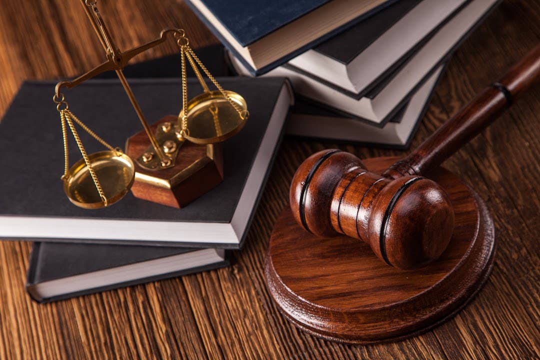 Law Office of Harrison Snell — attorney in New York, NY