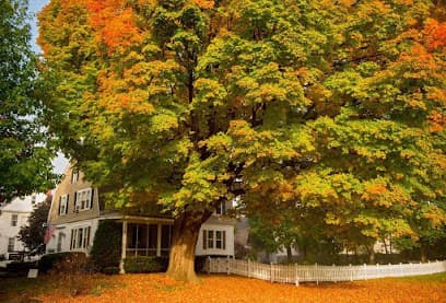 Law Office of Kevin M. Volz — attorney in Rutland, VT