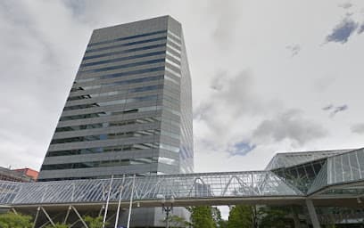Mayor Law LLC — attorney in Portland, OR