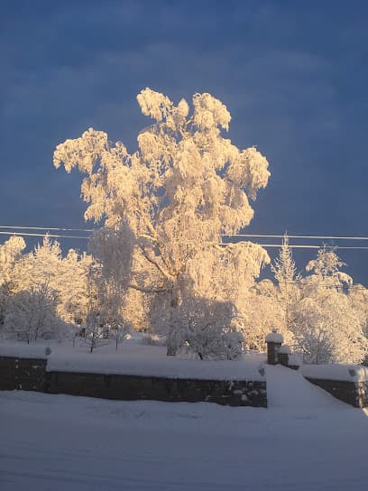 Merdes Law Office, P.C. — attorney in Fairbanks, AK