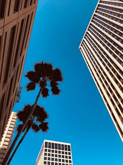 Michael Jay Green & Associates — attorney in Honolulu, HI