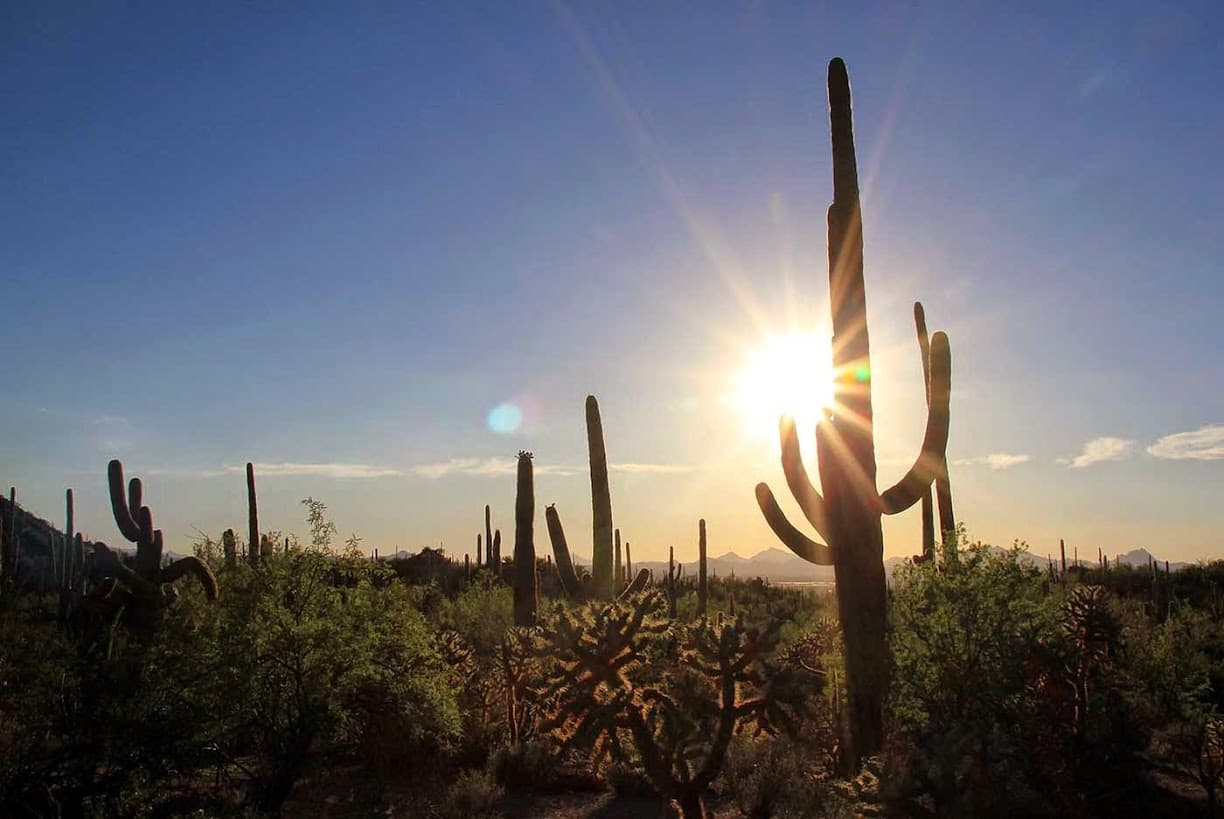 Mortensen Law Offices — attorney in Tucson, AZ