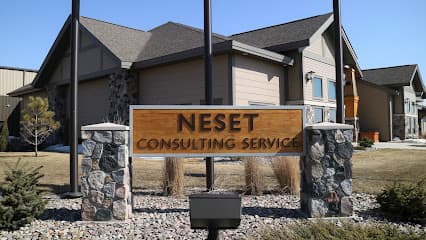 Neset Consulting Service — attorney in Tioga, ND