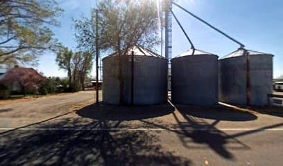 Nevada AG Services — attorney in Fallon, NV