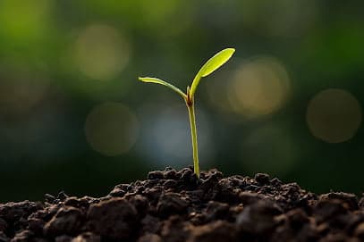 New Hampshire Surrogacy & Fertility Law — attorney in Loudon, NH