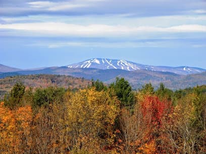 Newborn Law, PLLC — attorney in Keene, NH