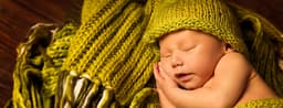 Northwest Surrogacy Center LLC