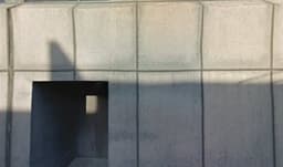 Null Law LLC