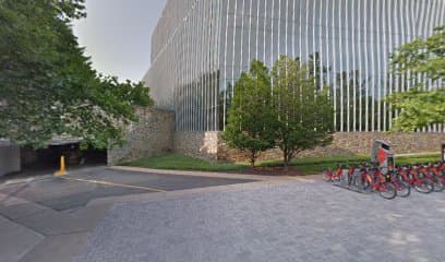 Octagon Worldwide Inc — attorney in McLean, VA