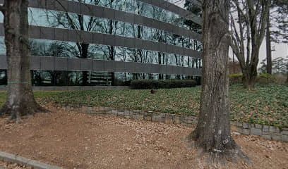 Perficient Inc — attorney in Atlanta, GA
