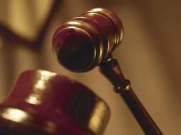 Peter Wang Per Diem Attorney
