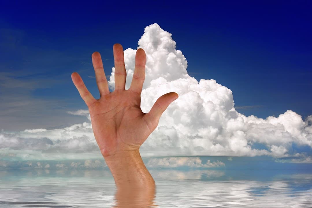 Phoenix Fresh Start Bankruptcy Attorneys — attorney in Goodyear, AZ