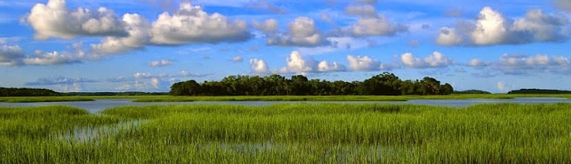 Pinckney Law Firm, LLC — attorney in Bluffton, SC