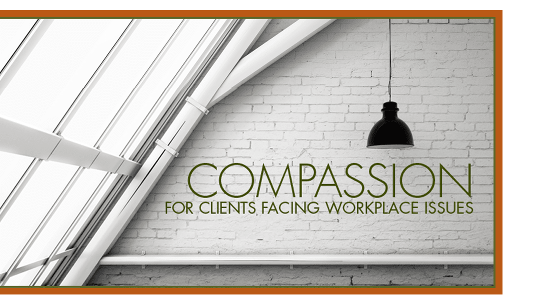 Schaefer Halleen, LLC — attorney in Minneapolis, MN
