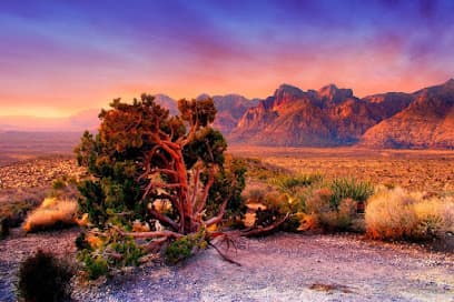 State Bar of Nevada — attorney in Las Vegas, NV