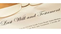 Stephen F. Murray Attorney