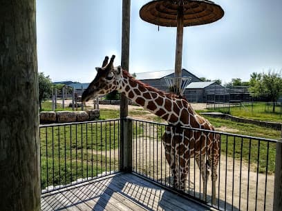 Tanganyika Wildlife Park — attorney in Goddard, KS