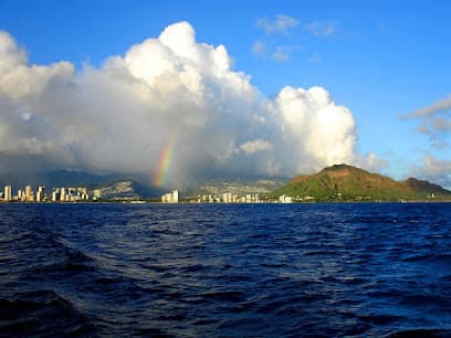 The Law Offices of William C Bullard — attorney in Honolulu, HI