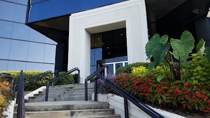 The Zdrilich Law Group LLC. — attorney in Duluth, GA