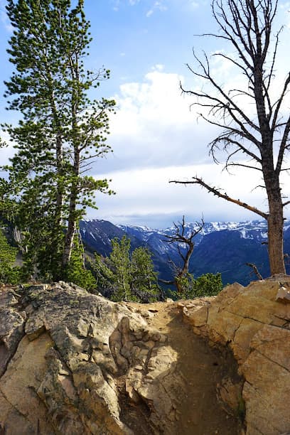 Trailhead Law PLLC — attorney in Billings, MT