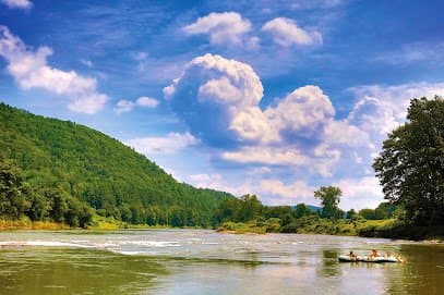 Vermont Law School — attorney in South Royalton, VT