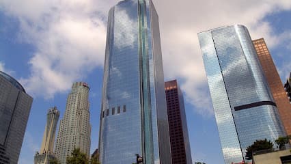 West Coast Trial Lawyers — attorney in Los Angeles, CA