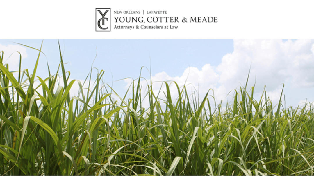 Young, Cotter & Meade, LLC — attorney in Lafayette, LA