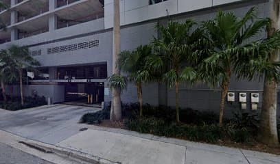 Elisa R. Lemmer — attorney in Miami, FL