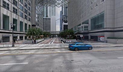 Viana Carlos — attorney in Miami, FL