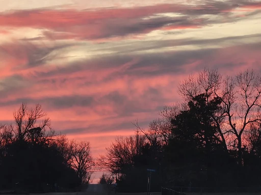 Branum Law Offices — attorney in Newcastle, OK