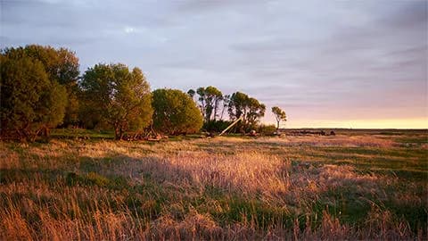 Fleming DuBois & Fleming, PLLP — attorney in Cavalier, ND